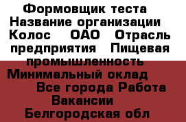 Формовщик теста › Название организации ­ Колос-3, ОАО › Отрасль предприятия ­ Пищевая промышленность › Минимальный оклад ­ 21 000 - Все города Работа » Вакансии   . Белгородская обл.